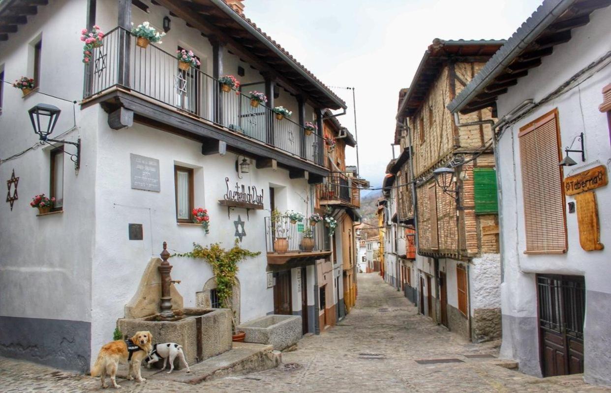 Casa Rural Exedra 3 Estrellas Carcaboso Esterno foto